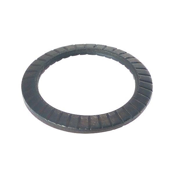 Zpt{gpM΂ˍ 24L y50{z Lbv CAP bV[ W  SW ol 6p ˂ lW