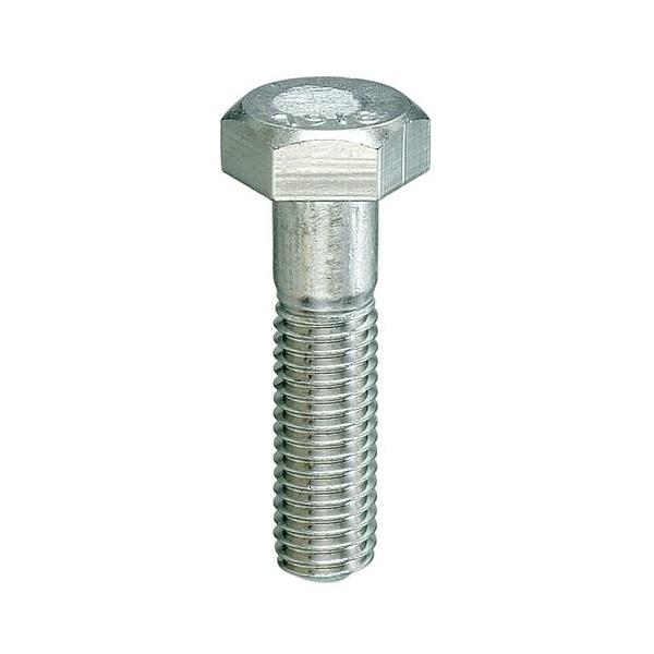 �X�e�����X�Z�p�{���g (316L)  M20X60 �y1�{�z 6�p 6�J�N bolt nut �����˂� �l�W