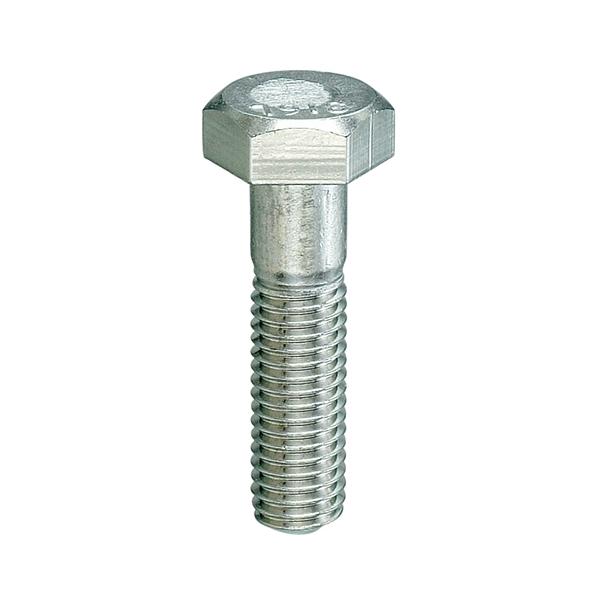 �X�e�����X�Z�p�{���g (316L)  M20X60 �y25�{�z 6�p 6�J�N bolt nut �����˂� �l�W