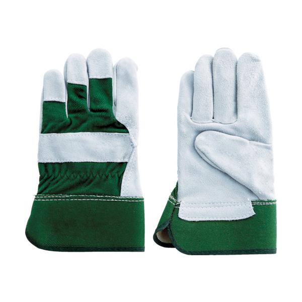 TR xmO[u #181 O[ 1824