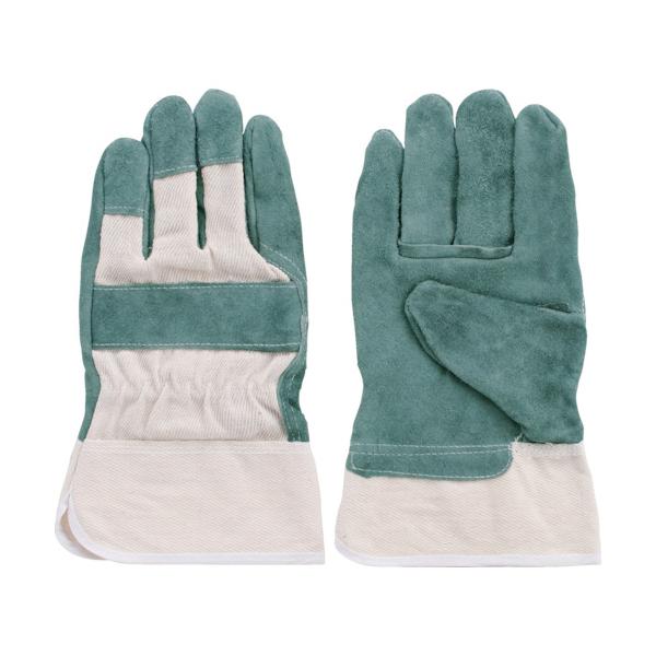 TR xmO[u v IC88 ICbz   () 1o