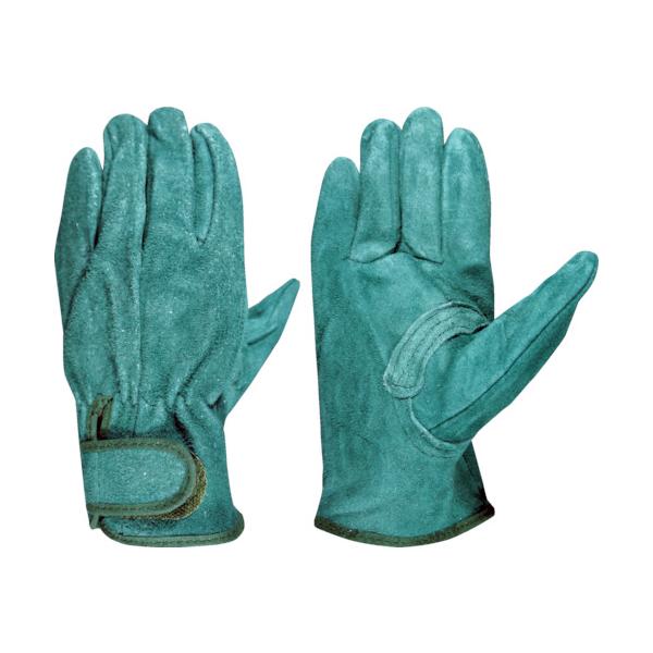 TR xmO[u v EX-380 O[ L   () 1o