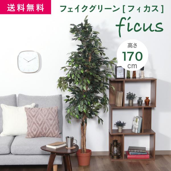 FJ フェイクグリーン 観葉植物 フィカス 1124 A [大型] 高さ170cm
