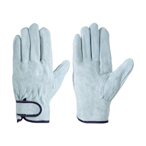 TR V v CS717 M   () 1o