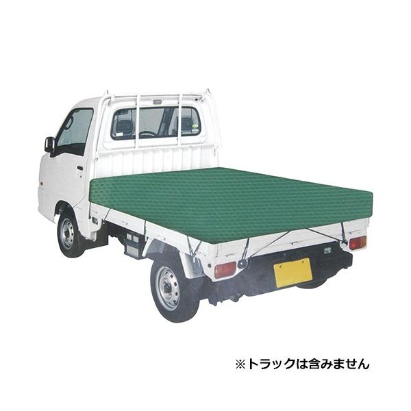 FS ygbNV[g ʐFSKS-C1821GR Y SK11