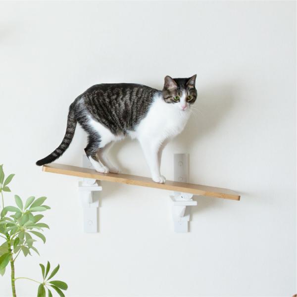 CAT FREELY キャットウォーク 傾斜タイプ ホワイト : パーツEX - 通販
