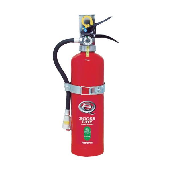 TR HATSUTA ~Ί ԗp4^m1{n