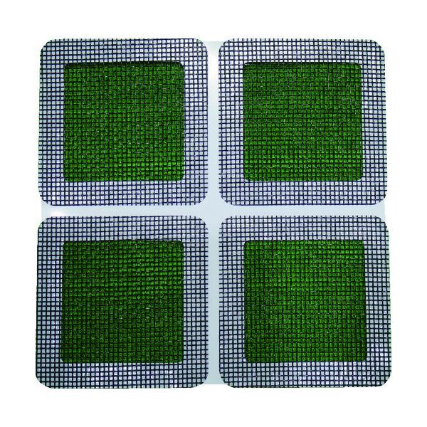 TR IWATANI ni Ԍ˕CV[g ubN` 8