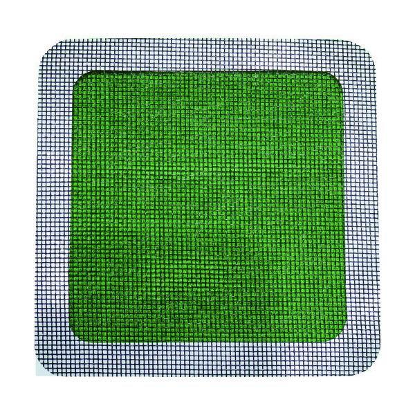 TR IWATANI ni Ԍ˕CV[g ubN` 2