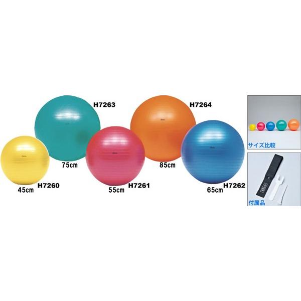 バランスボール ヨガボール ジムボール ボディーボール８５ H7264 P15aug15 Buyee Servis Zakupok Tretim Licom Buyee Pokupajte Iz Yaponii