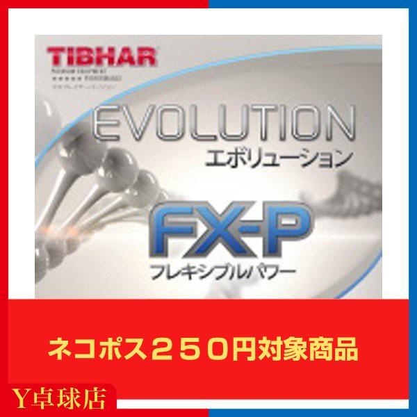 eBo[ G{[V FX-P  싅Pbgp \tgo[ bh/ubN [ x싅X  (TIBHAR) [M 1/4]