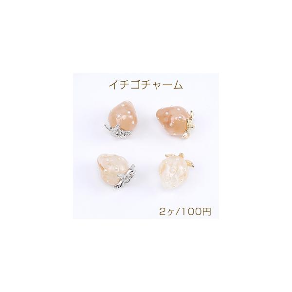 `[ C`S`[ 킢t[c`[  p[t 12×16mmi2j