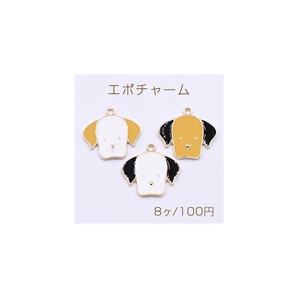G|`[@@ꎨ@20x21mm@@S[h@S3@y8z@