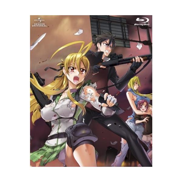 学園黙示録 Highschool Of The Dead Blu Ray Box 初回限定生産 中古 良品 Www Mohmmadiyon Com
