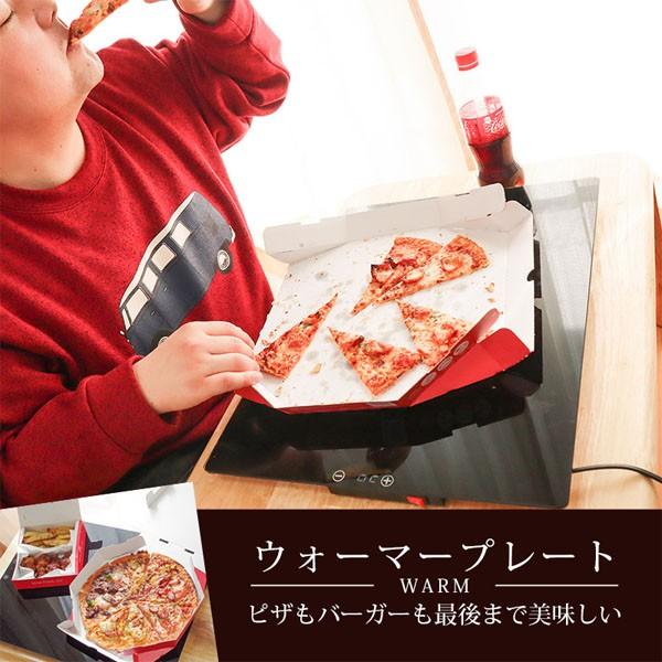 THANKO サンコー フードウォーマープレート SBGHOTPL 卓上 保温