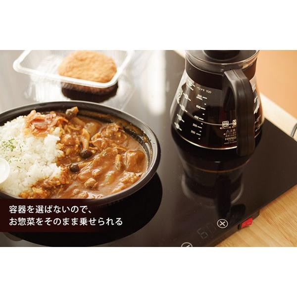 THANKO サンコー フードウォーマープレート SBGHOTPL 卓上 保温 THANKO サンコー フードウォーマープレート SBGHOTPL 卓上 保温