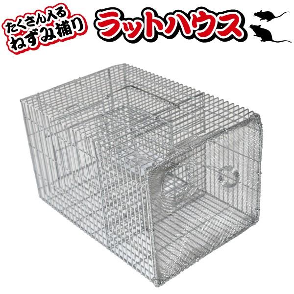 VZC@˂ݕ߂@bgnEX s ꌧzBs