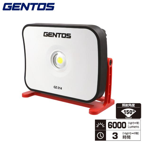 WFgX GZ-314 Ganz(Kc)  GANZ314