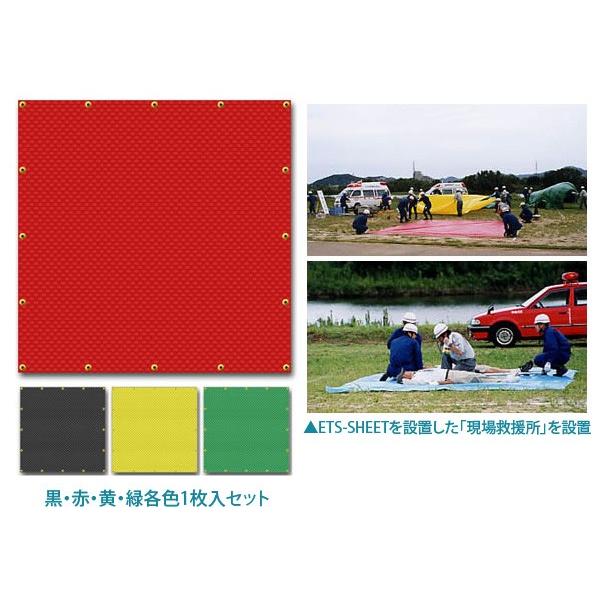 桜 印 ＥＴＳトリアージテント 緑 ETS-T/7WA(300X450) 23-5766-07 1入り 通販