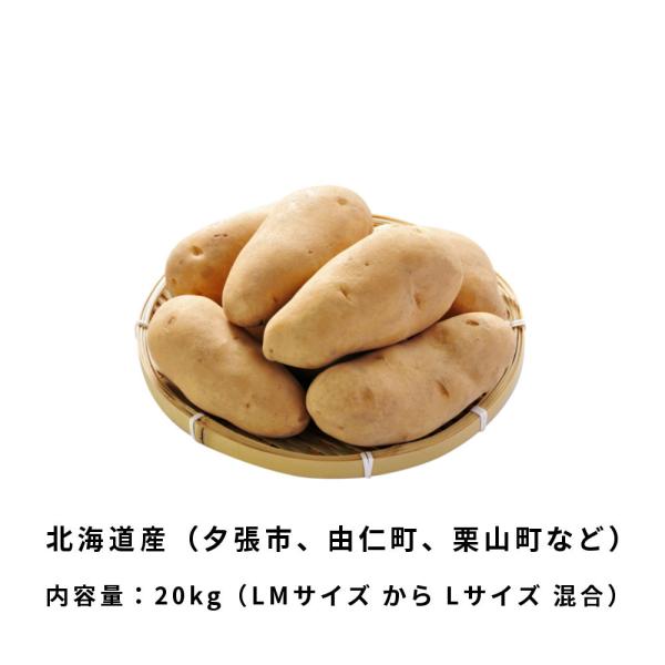 栃木県産 メークイン 20kg 新ジャガイモ　値下げ！　じゃがいも 新じゃがいも メークイン 20kg LMサイズ から Lサイズ 混合 北海道産