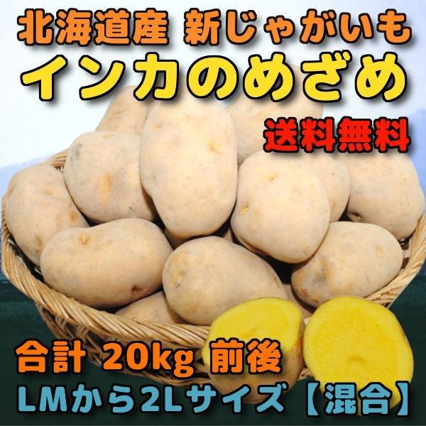 最終値下げ インカのめざめ 北海道 じゃがいも ジャガイモ 20kg - 野菜