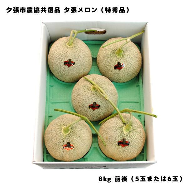 予約】 夕張メロン 8kg 前後 共選品 特秀品 5玉または6玉 贈答品