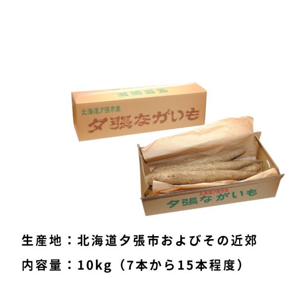 ・商品名夕張長芋 10kg 前後 Mサイズから2Lサイズ 約7本から15本 前後 ながいも ナガイモ 長いも・商品情報夕張長芋はサクサクとした食感、コシのある粘り、ほのかな甘みが特徴です。味は最高級の逸品です。贈り物やご自宅用としてぜひご賞...