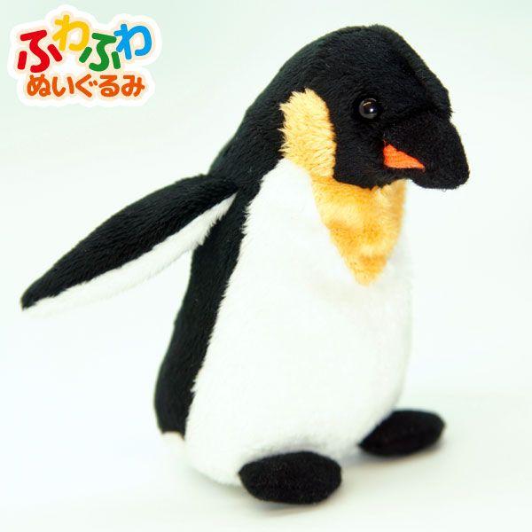 最高キングペンギン コウテイペンギン 最高の花の画像