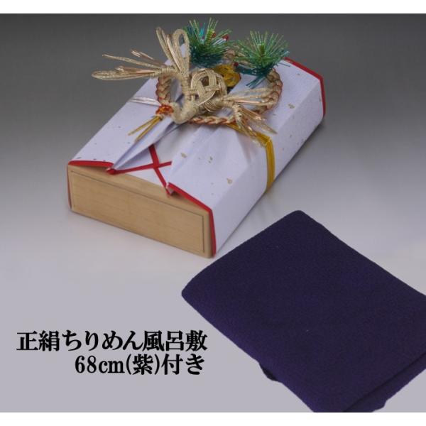[̌[i  ([p)˔E300ΉE߂񕗘C~68cm()t