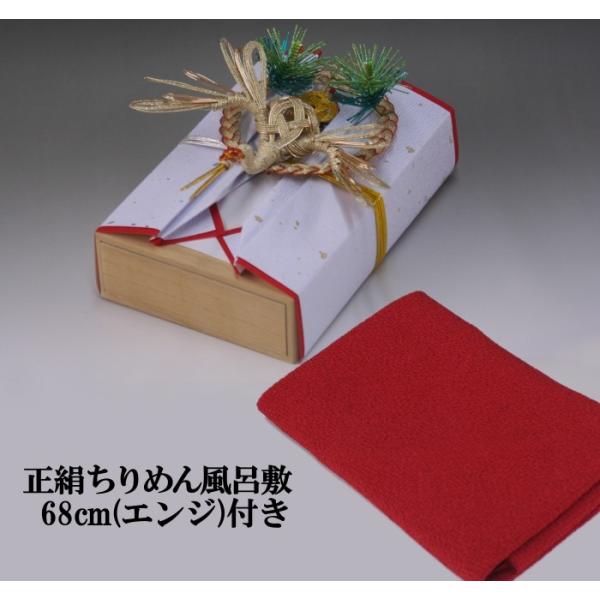 [̌[i  ([p)˔E300ΉE߂񕗘C~68cm(GW)t