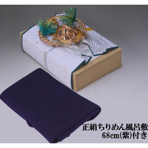[̌[i T ([Ԃp)˔E300ΉE߂񕗘C~68cm()t