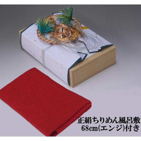 [̌[i T ([Ԃp)˔E300ΉE߂񕗘C~68cm(GW)t