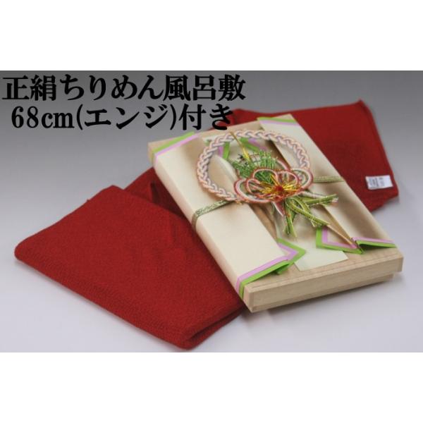 [ ˔ [i uԊہv ([Ԃp)200ΉE߂񕗘C~68cm(GW)t