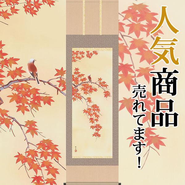 | (|) Hp lGԒ gtɏ kR ڌܗ 54.5cm×c190cm d8317 H H| H| Ԓ ݂ j  蕨