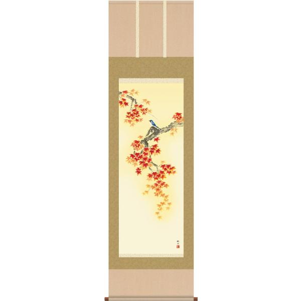 | (|) Hp gtɏ cH ڌܗ 54.5cm×c190cm d8904 H H| H| Ԓ ݂ j j  蕨