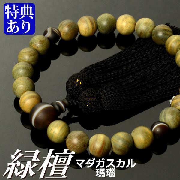  O fҗΒh }_KXJijd t[i˔tjiijpj/Oj