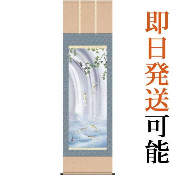 掛軸 (掛け軸) 夏用 楓に鮎 森山観月 尺五立 約横54.5cm×縦190cm