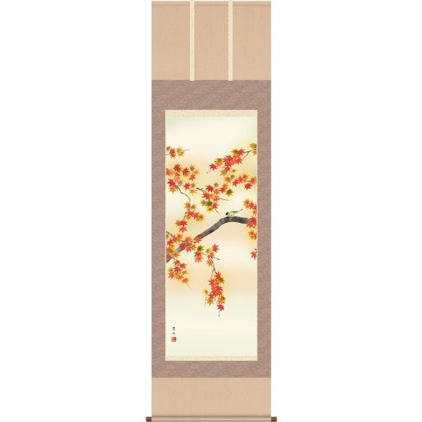 | (|) Hp gtɏ t ڌܗ 54.5cm×c190cm g4114 H H| H| Ԓ ݂ j j  蕨