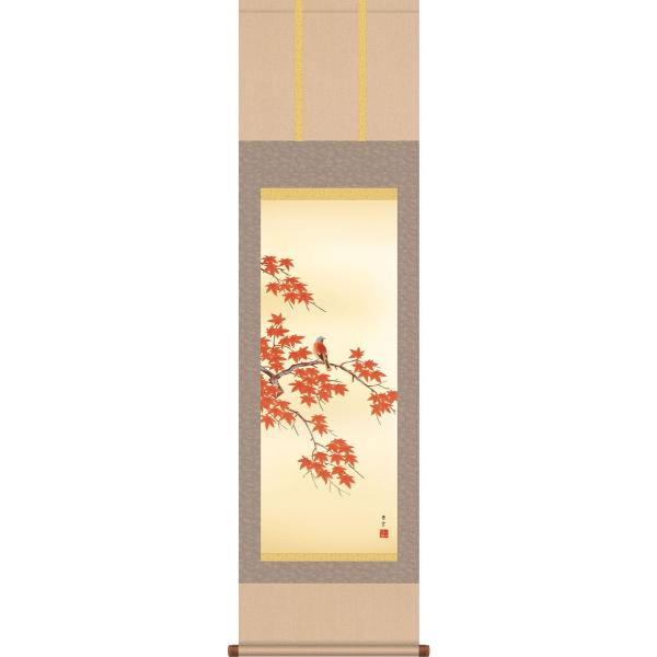 | (|) Hp gtɏ Ζؑ_ ڎO 44.5cm×c164cm g4165 H H| H| Ԓ ݂ j j  蕨