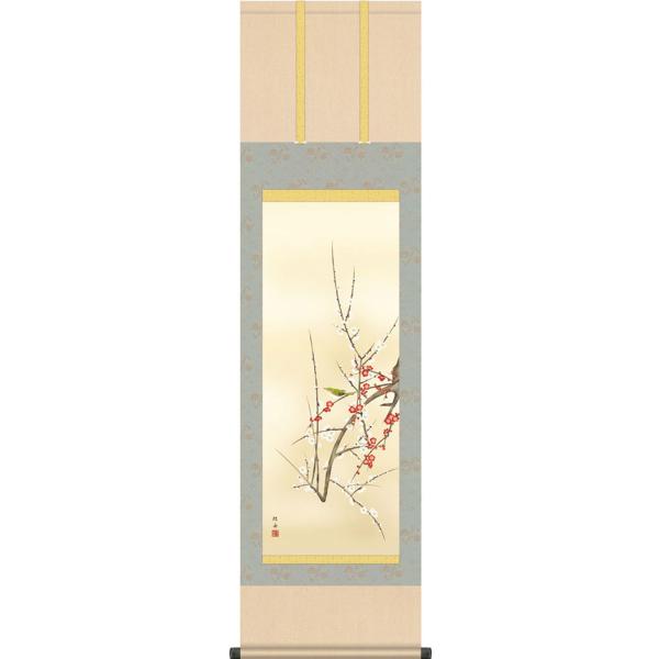 | (|) tp g~ ]jM ڎO 44.5cm×c164cm g6045 KZ3MA2-098 t t| t| Ԓ g j j  蕨