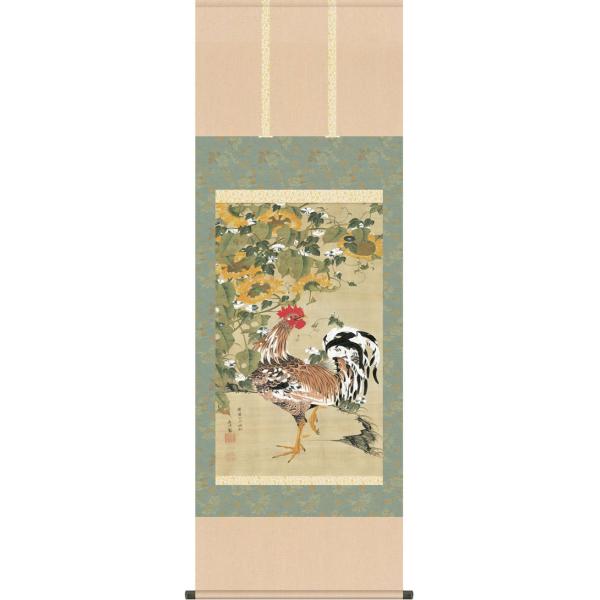 | (|) Y{} ɓt ڌ܂ǂ 54.5cm×c150cm g6224 KZ3G9-038 {  j j  蕨