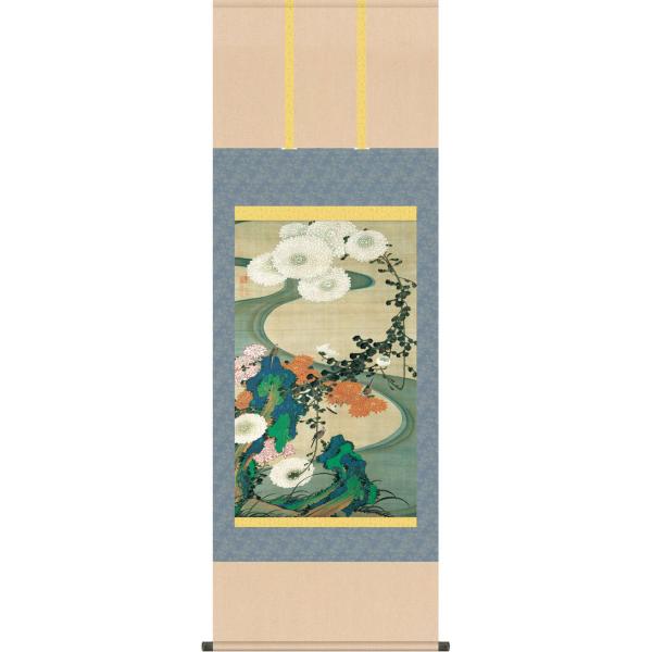 | (|) eԗ} ɓt ڌ܂ǂ 54.5cm×c150cm g6225 KZ3G9-039 {  j j  蕨