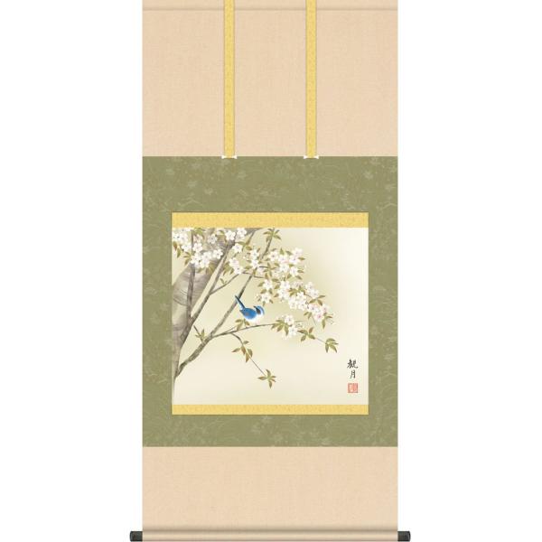 掛軸 (掛け軸) 春用 桜花に小鳥 森山観月 尺五横 約横54.5cm×縦