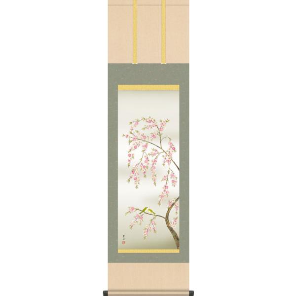 掛け軸　掛軸 掛軸 (掛け軸) 春用 桃花に小鳥 緒方葉水 尺三立 約横44.5cm×縦