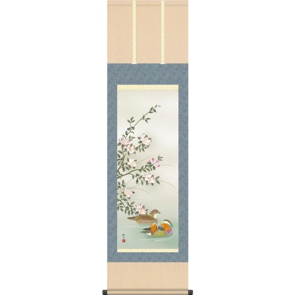 掛軸 (掛け軸) 冬用 山茶花 浮田秋水 尺三立 約横44.5cm×縦164cm g7243