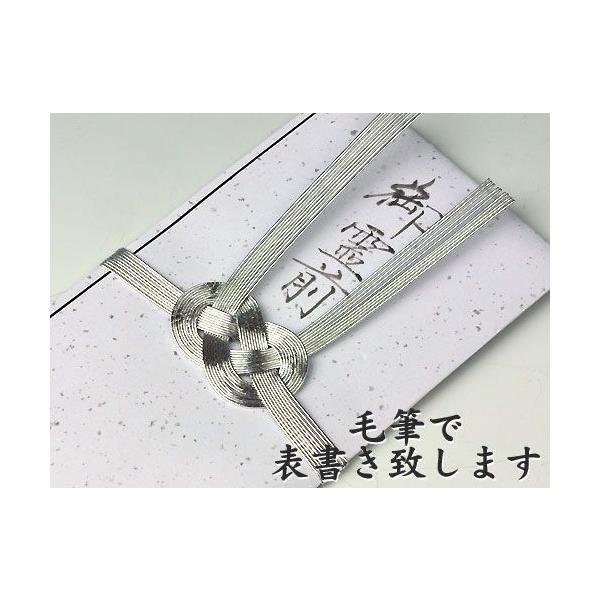 代書無料金包 不祝儀袋 香典袋 神式 キリスト教 ３万円に最適hh201 銀白黒銀箔入り 直書き Buyee Buyee 提供一站式最全面最專業現地yahoo Japan拍賣代bid代拍代購服務