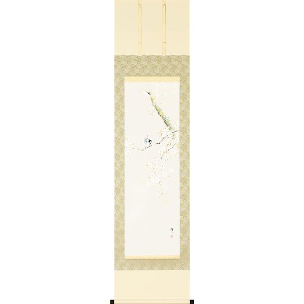 | (|) tp ɏ jO ؗ 47cm×c190cm p9641 t t| t| Ԓ j j  蕨