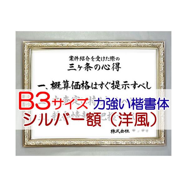 ЌPEocOȂ iBRTCYEVCVo[zimjtj͋́iАEƗOEswjj SH0053