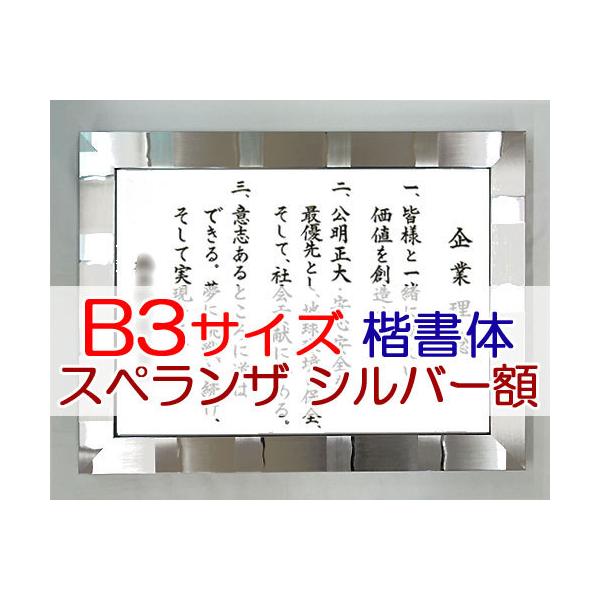 ЌPEocOȂ iBRTCYEXyU Vo[ztj͋́iАEƗOEswjj SH0076