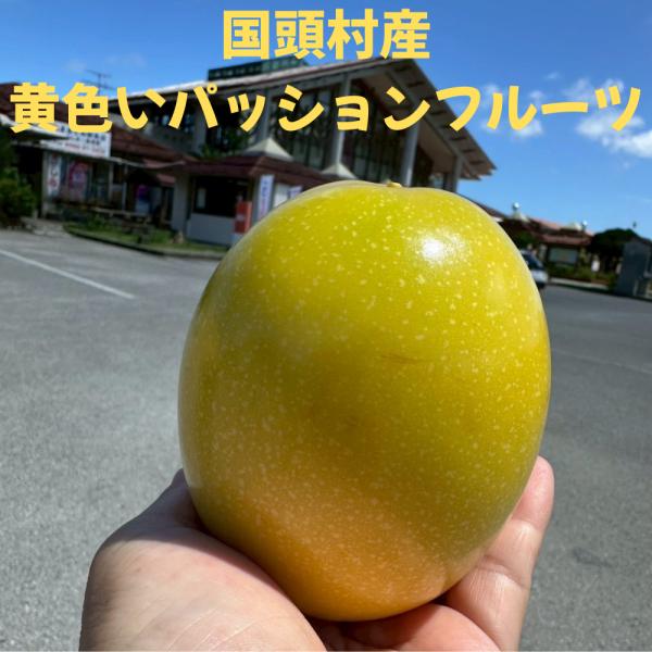 [Release date: November 14, 2025]≪イエロークイーン≫果実：薄いオレンジ色さわやかな酸味とやさしい甘酸っぱさが特徴南国感じるトロピカルフルーツのパッションフルーツは爽やかな甘みと酸味があり、香り豊かな果物です...